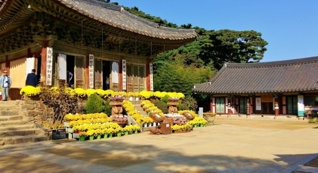 Better Guest House, Reserva ahora Hostal o pensión Gyeonggi Gyeonggi-do