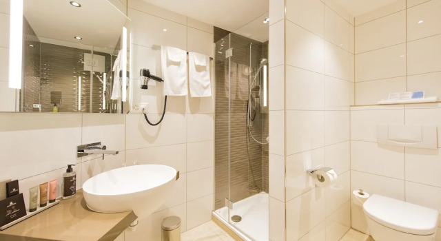 Номер Superior TOP SeminarHotel am Aegerisee Unteraegeri