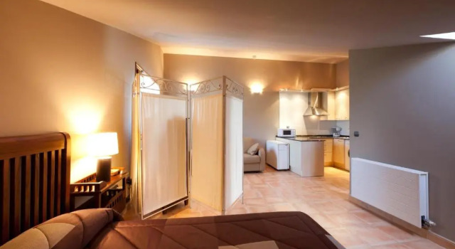 Студия Hotel Spa Gametxo
