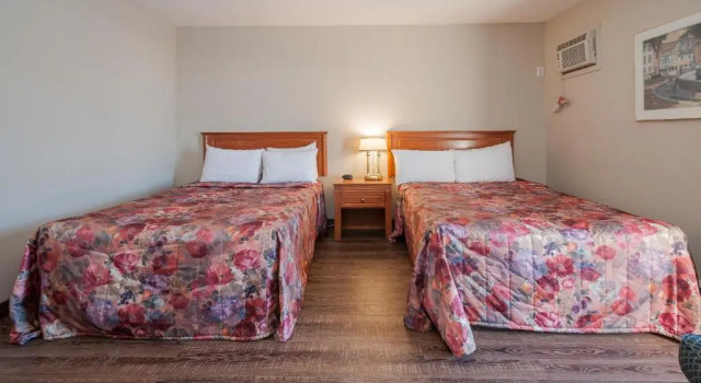 Четырёхместный номер Economy Hotel & Suites Monte-Cristo