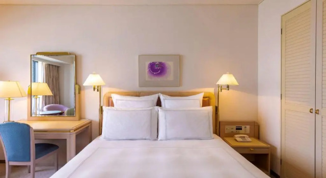 Двухместный номер Swiss Advantage Swissotel Nankai Osaka