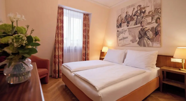 Одноместный номер Standard Hotel Johann Strauss