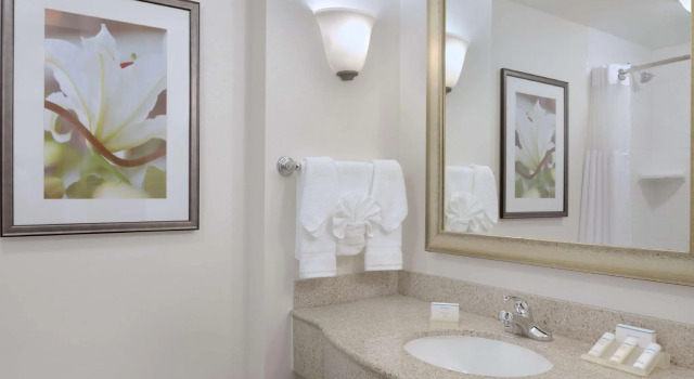 Четырёхместный номер Standard Hilton Garden Inn Worcester