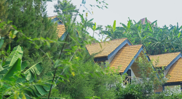 Номер Luxury My Hill Eco Lodge