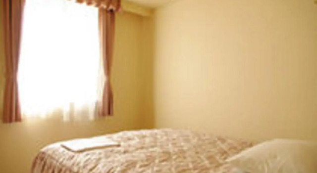 Одноместный номер Standard Hotel Crown Hills Niigata