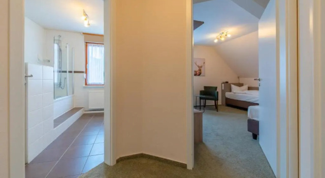 Номер Standard Landhotel Salmen