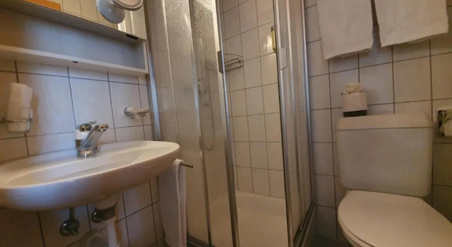 Двухместный номер Standard с видом на озеро Hotel Rosengärtli