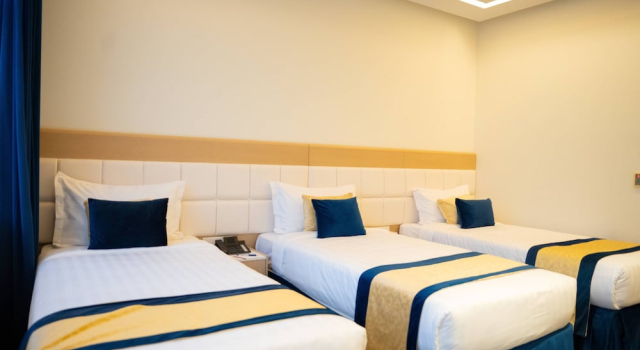 Номер Standard Taj Park Hotel