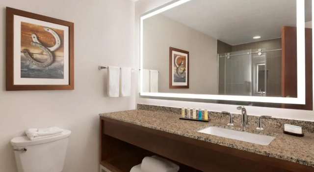 Люкс с 2 комнатами Embassy Suites Dallas - DFW Airport North