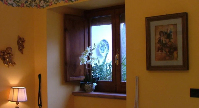Orchid Corner