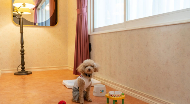 Двухместный номер Standard Hotel Liberte Asahikawa