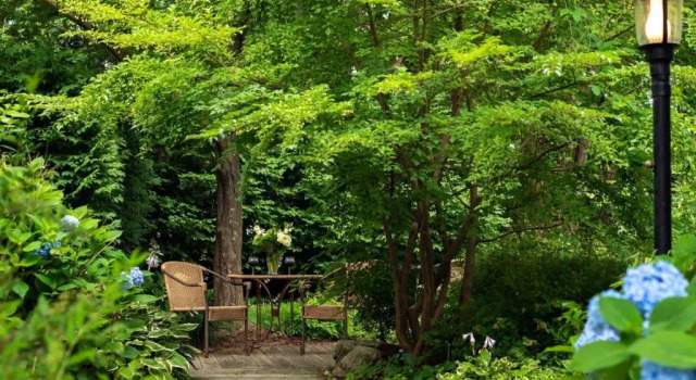 Номер Standard Palmer House Inn
