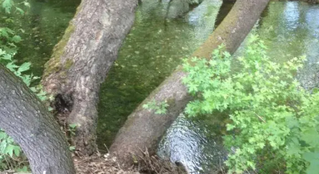 Ersalpark Ekin Dere Evleri
