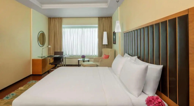 Двухместный номер Business Radisson Blu Hotel Ranchi