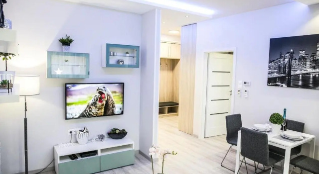 Downtown Dream Apartmans