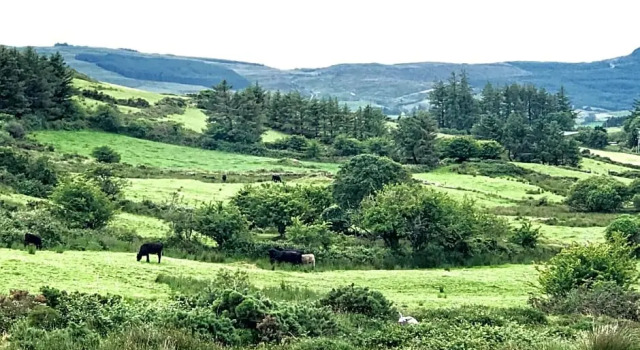 Niblick, Reserva ahora Bed & breakfast Bantry 