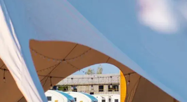 Three-Year-Old Camel · Luxury Wilderness Camp, Boek Hotel Altay Xinjiang