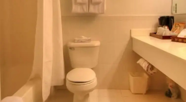 Четырёхместный номер Standard c 1 комнатой Terrace By The Sea