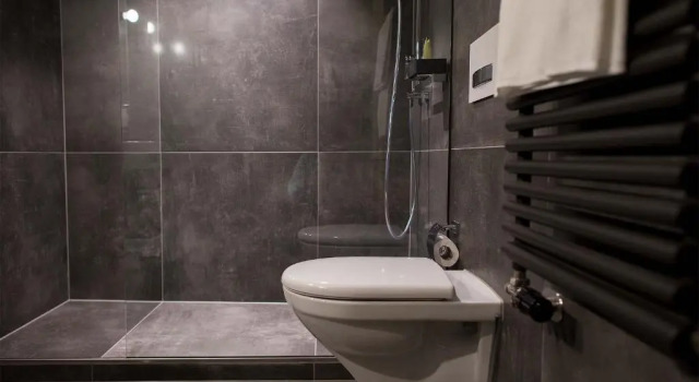 Номер Comfort Hotel Arc-en-ciel Gstaad