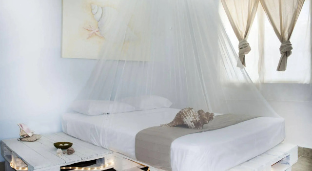 Alma Mía Eco Bed & Breakfast, Rezerwuj Hotel Playa del Carmen Quintana Roo