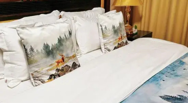 Люкс Xian Jinyuan Furun Hotel