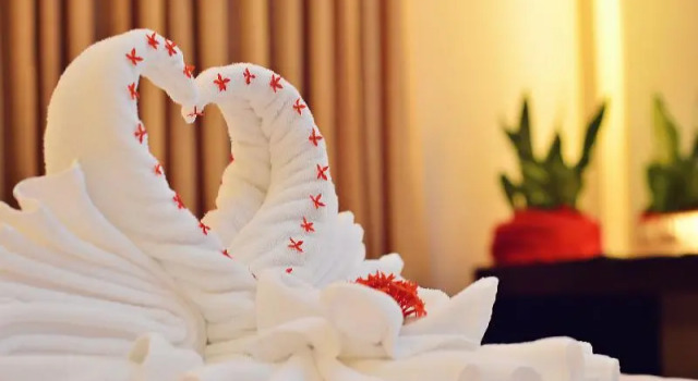 Двухместный номер Premium Citystate Asturias Hotel Palawan