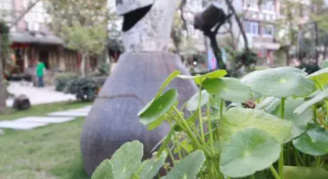 Linfeng Xiaoqi Inn, Rezerwuj Hotel Taizhou Zhejiang