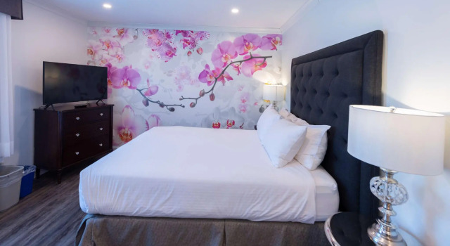 Двухместный номер Standard Prestige Treasure Cove Resort