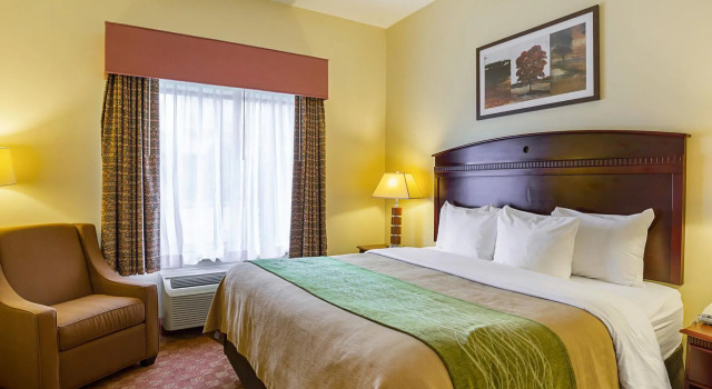 Люкс Comfort Inn & Suites Port Arthur-Port Neches