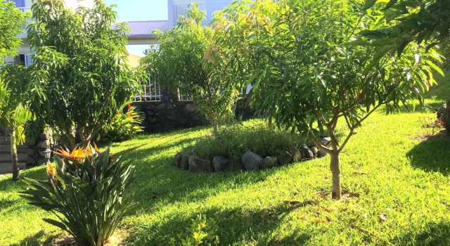 Apartament 2 camere L'Oasis de Terre Rouge