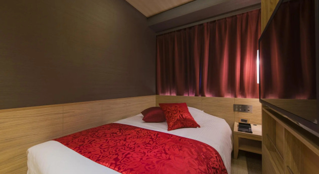 Одноместный номер Standard Hotel Ann Tsukiji