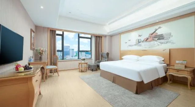 Люкс Deluxe Vienna International Hotel (Nanning Jinhu Square Langxi Metro Station Branch)
