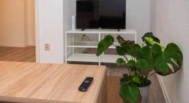 Апартаменты Ruhiges City Apartment "Altbauperle" mit Charme und 2 Schlafzimmern