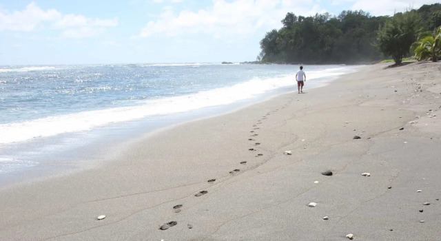 Friendly Beach, Réserver Hôtel Tanna Island Tanna
