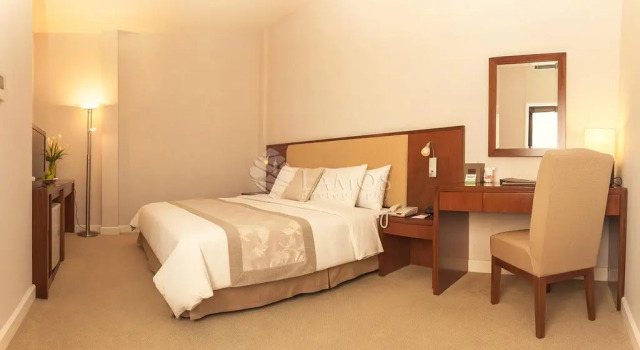 Двухместный номер Superior ANIMA Vietnamese Contemporary Art Boutique Hotel