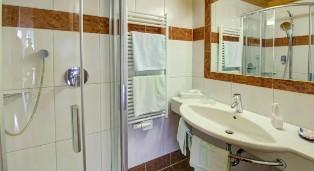 Двухместный номер Deluxe Hotel Wechselberger by Alpeffect Hotels