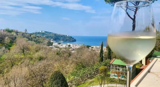 Двухместный номер Classic с балконом и с частичным видом на море Resort Terme La Pergola