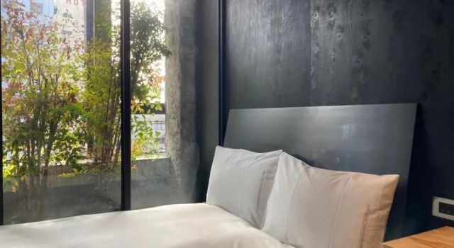 Standardní Dvoulůžkový s manželskou postelí pokoj SOF Hotel