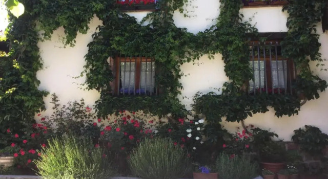 Одноместный номер Standard Bungalows Rurales Picos de Europa