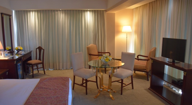 Ege Palas Business Hotel