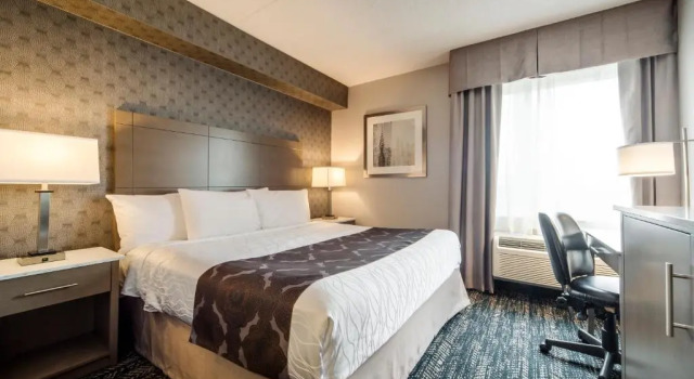 Люкс Monte Carlo Inn Brampton