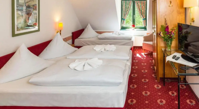 Трёхместный номер Standard Tafernwirtschaft Hotel Schönbrunn