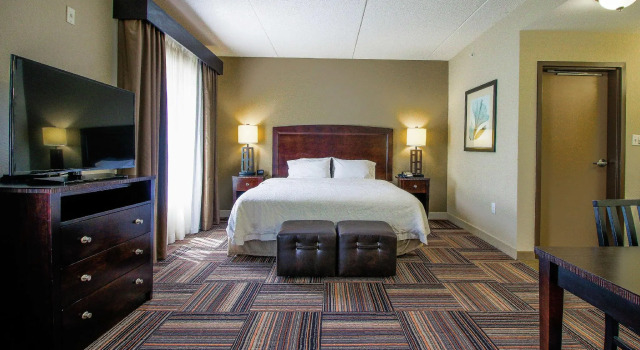 Двухместный люкс Hampton Inn & Suites Flowery Branch