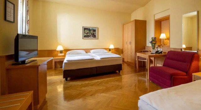 Двухместный номер Economy Hotel Post Wien