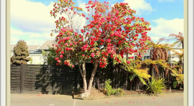 Victoria Lodge, Boek Hotel Rotorua 