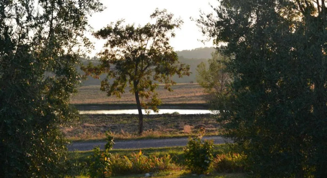 Номер Standard Agriturismo Podere Micitto