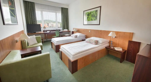 Двухместный номер Standard Hotel Grand Litava Beroun