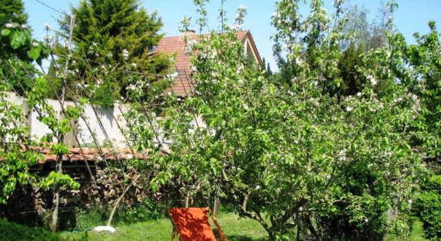Le temps des cigognes, Réserver Hôtel Barr Alsace Wine Route
