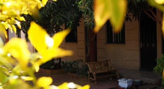 Номер Standard Manuhie Backpackers Lodge