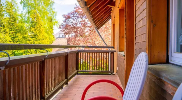 Одноместный номер Standard с балконом NATURION Hotel Hinterzarten